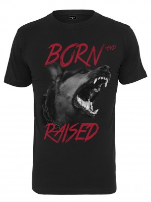 Мъжка тениска в черно Мister Tee Born & Raised