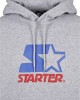 Мъжки суичър STARTER Two Color Logo в сив цвят, STARTER, Суичъри - Complex.bg