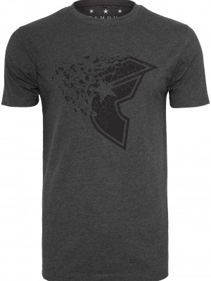 Мъжка тениска Famous Blasted в сиво