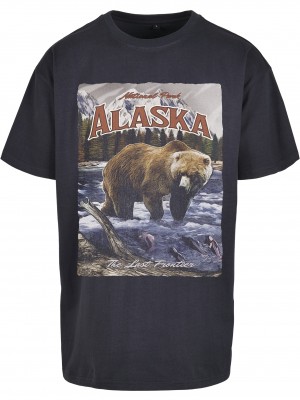 Мъжка тениска в тъмносин цвят Mister Tee Alaska Vintage 