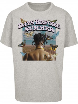 Мъжка тениска в сиво Мister Tee Days Before Summer