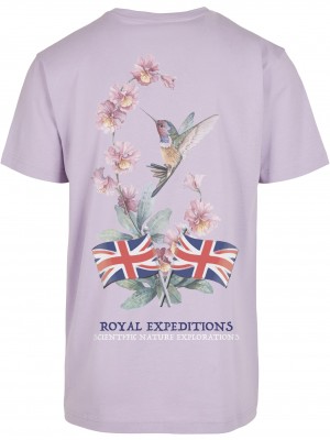 Мъжка тениска в лилав цвят Mister Tee Royal Expeditions