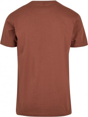 Мъжка тениска в кафяв цвят Mister Tee Royal Fruits