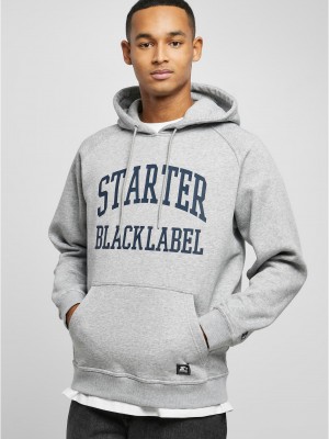 Мъжки суичър в сив цвят Starter Black Label Raglan
