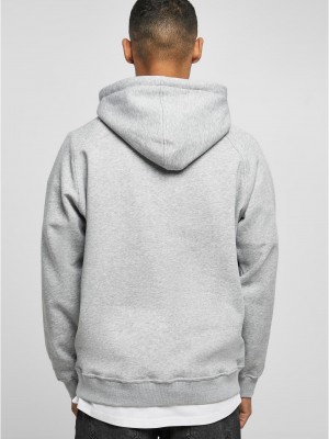 Мъжки суичър в сив цвят Starter Black Label Raglan