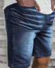 Мъжки къси панталони JS/KK1072