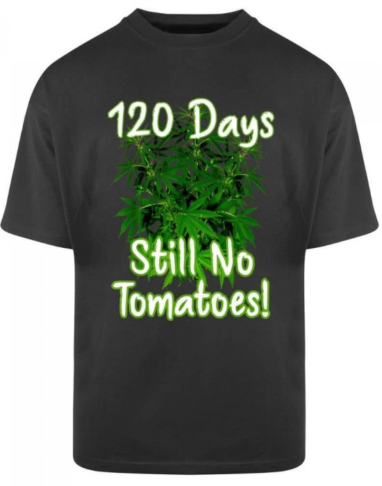 Тениска Oversize  120 Days Still No Tomatoes