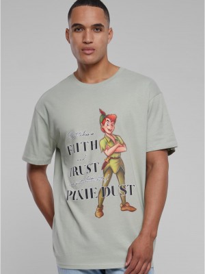 Мъжка тениска в сив цвят MISTER TEE Disney 100 Peter Pan Faith and Trust Oversize