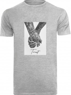Мъжка тениска в светлосив цвят Mister Tee Trust 2.0