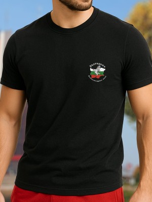 Самолет Месершмит тениска