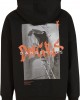 Мъжки Суичър Dangerous DNGRS Extrem Hoodies  black XXL