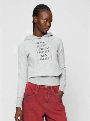 Ladies Blink Hoody grey XS