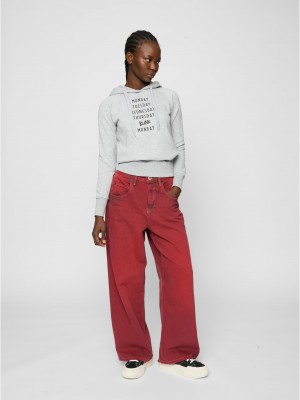 Ladies Blink Hoody grey XS