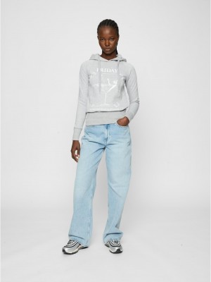 Ladies F-Word Hoody grey XS