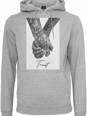 Trust 2.0 Hoody heather grey XXL