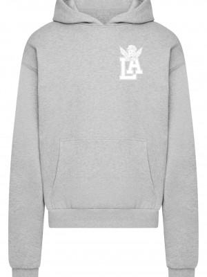 LA Wings Heavy Cotton Box Hoody grey XXL