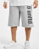 Къси Панталони 2 Face Shorts grey melange XL Къси Панталони 2 Face Shorts grey melange XL