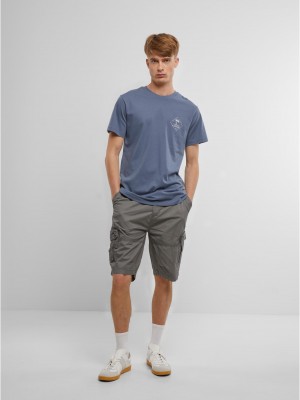 Тениска Forvert T-Shirt Roundn Lompoc vintage blue XXL