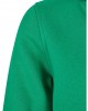 Boys Basic Sweat Hoody bodegagreen 158/164