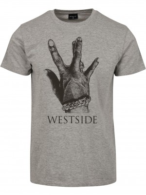 Тениска Westside Connection 2.0 Tee heather grey XXL Тениска Westside Connection 2.0 Tee heather grey XXL