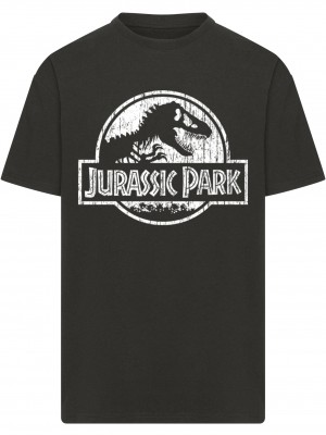 Тениска Jurassic Park Distressed Logo Oversize Tee black XXL