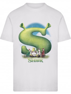 Тениска Shrek Distressed Poster Tee white XXL