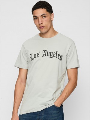 Тениска Los Angeles Wording Tee lightasphalt XXL