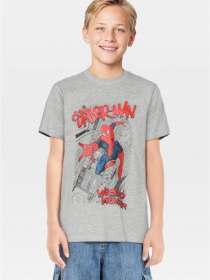 Детска тениска Kids Spiderman Comic Tee heather grey 158/164