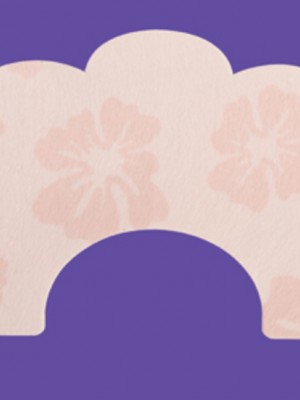 Лепенки за повдигане на бюста PS02 