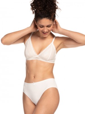 3 броя памучни дамски бикини в различни цветове L-127BI-16 3 броя памучни дамски бикини в различни цветове L-127BI-16