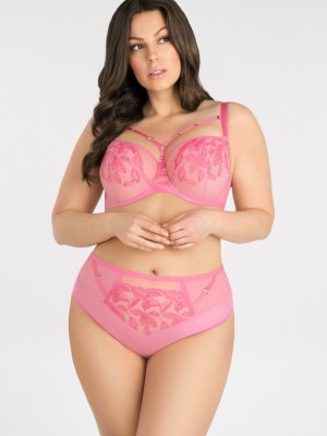 Сутиен с мека чашка в розово K846 LOLLIPOP