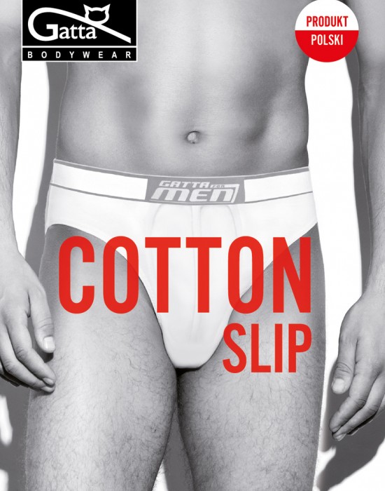 Мъжки слип Bielizna Męska - Slip Cotton TITANIUM