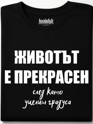 Животът е прпекрасен тениска